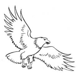 Dibujo para colorear: Águila (Animales) #318 - Dibujos para Colorear e Imprimir Gratis