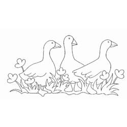 Dibujo para colorear: Animales de granja (Animales) #21445 - Dibujos para Colorear e Imprimir Gratis