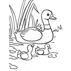 Dibujo para colorear: Animales de granja (Animales) #21488 - Dibujos para Colorear e Imprimir Gratis