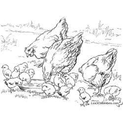 Dibujo para colorear: Animales de granja (Animales) #21514 - Dibujos para Colorear e Imprimir Gratis