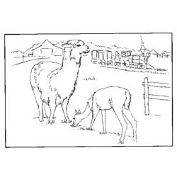 Dibujo para colorear: Animales de granja (Animales) #21530 - Dibujos para Colorear e Imprimir Gratis