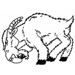 Dibujo para colorear: Animales de granja (Animales) #21532 - Dibujos para Colorear e Imprimir Gratis