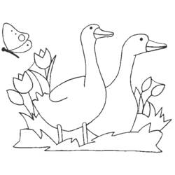 Dibujo para colorear: Animales de granja (Animales) #21544 - Dibujos para Colorear e Imprimir Gratis