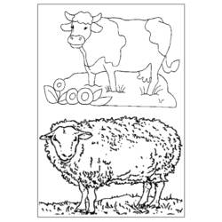 Dibujo para colorear: Animales de granja (Animales) #21629 - Dibujos para Colorear e Imprimir Gratis