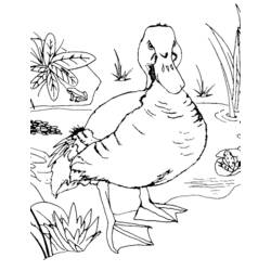 Dibujo para colorear: Animales de granja (Animales) #21659 - Dibujos para Colorear e Imprimir Gratis