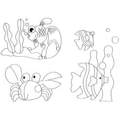 Dibujo para colorear: Animales marinos (Animales) #21982 - Dibujos para Colorear e Imprimir Gratis