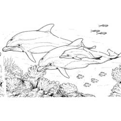 Dibujo para colorear: Animales marinos (Animales) #21985 - Dibujos para Colorear e Imprimir Gratis