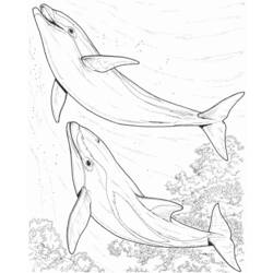 Dibujo para colorear: Animales marinos (Animales) #22015 - Dibujos para Colorear e Imprimir Gratis