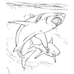Dibujo para colorear: Animales marinos (Animales) #22017 - Dibujos para Colorear e Imprimir Gratis