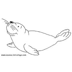 Dibujo para colorear: Animales marinos (Animales) #22035 - Dibujos para Colorear e Imprimir Gratis