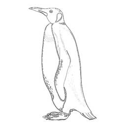 Dibujo para colorear: Animales marinos (Animales) #22087 - Dibujos para Colorear e Imprimir Gratis