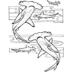 Dibujo para colorear: Animales marinos (Animales) #22089 - Dibujos para Colorear e Imprimir Gratis