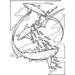 Dibujo para colorear: Animales marinos (Animales) #22116 - Dibujos para Colorear e Imprimir Gratis