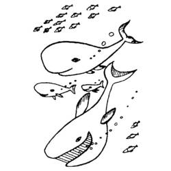 Dibujo para colorear: Animales marinos (Animales) #22118 - Dibujos para Colorear e Imprimir Gratis