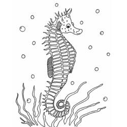 Dibujo para colorear: Animales marinos (Animales) #22122 - Dibujos para Colorear e Imprimir Gratis