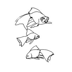 Dibujo para colorear: Animales marinos (Animales) #22127 - Dibujos para Colorear e Imprimir Gratis