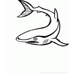 Dibujo para colorear: Animales marinos (Animales) #22144 - Dibujos para Colorear e Imprimir Gratis