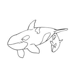 Dibujo para colorear: Animales marinos (Animales) #22181 - Dibujos para Colorear e Imprimir Gratis