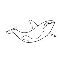 Dibujo para colorear: Animales marinos (Animales) #22188 - Dibujos para Colorear e Imprimir Gratis