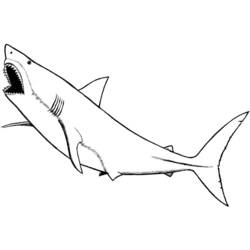 Dibujo para colorear: Animales marinos (Animales) #22211 - Dibujos para Colorear e Imprimir Gratis