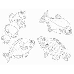 Dibujo para colorear: Animales marinos (Animales) #22222 - Dibujos para Colorear e Imprimir Gratis