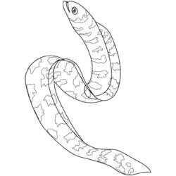 Dibujo para colorear: Animales marinos (Animales) #22231 - Dibujos para Colorear e Imprimir Gratis