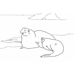 Dibujo para colorear: Animales marinos (Animales) #22234 - Dibujos para Colorear e Imprimir Gratis