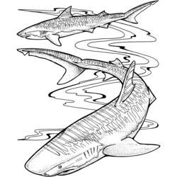 Dibujo para colorear: Animales marinos (Animales) #22244 - Dibujos para Colorear e Imprimir Gratis