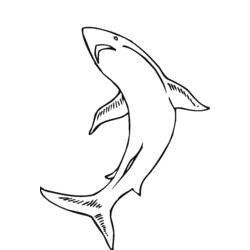 Dibujo para colorear: Animales marinos (Animales) #22255 - Dibujos para Colorear e Imprimir Gratis