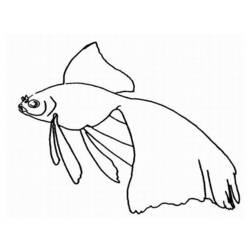 Dibujo para colorear: Animales marinos (Animales) #22264 - Dibujos para Colorear e Imprimir Gratis