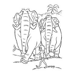 Dibujo para colorear: Animales salvajes / de la selva (Animales) #21083 - Dibujos para Colorear e Imprimir Gratis