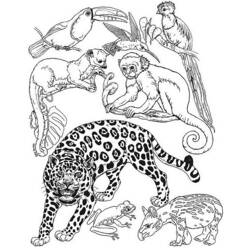 Dibujo para colorear: Animales salvajes / de la selva (Animales) #21101 - Dibujos para Colorear e Imprimir Gratis