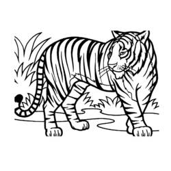 Dibujos para colorear: Animales salvajes / de la selva - Dibujos para colorear