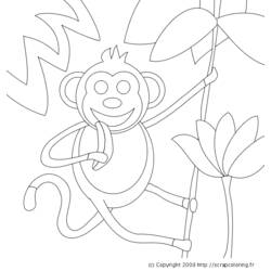 Dibujo para colorear: Animales salvajes / de la selva (Animales) #21230 - Dibujos para Colorear e Imprimir Gratis