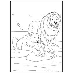 Dibujo para colorear: Animales salvajes / de la selva (Animales) #21291 - Dibujos para Colorear e Imprimir Gratis