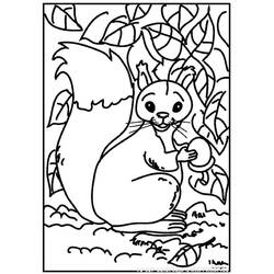 Dibujo para colorear: Ardilla (Animales) #6100 - Dibujos para Colorear e Imprimir Gratis