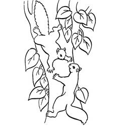 Dibujo para colorear: Ardilla (Animales) #6104 - Dibujos para Colorear e Imprimir Gratis