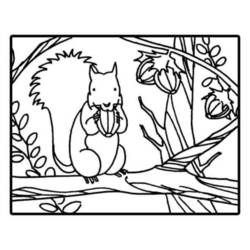 Dibujo para colorear: Ardilla (Animales) #6159 - Dibujos para Colorear e Imprimir Gratis