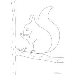 Dibujo para colorear: Ardilla (Animales) #6211 - Dibujos para Colorear e Imprimir Gratis
