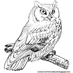Dibujo para colorear: Aves (Animales) #11855 - Dibujos para Colorear e Imprimir Gratis