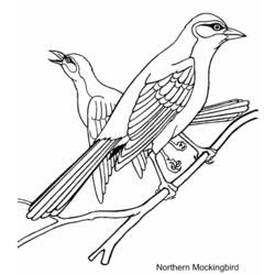 Dibujo para colorear: Aves (Animales) #11871 - Dibujos para Colorear e Imprimir Gratis