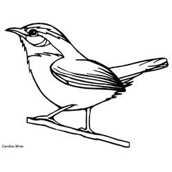 Dibujo para colorear: Aves (Animales) #11882 - Dibujos para Colorear e Imprimir Gratis