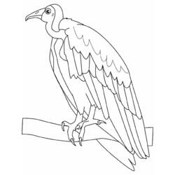 Dibujo para colorear: Aves (Animales) #11914 - Dibujos para Colorear e Imprimir Gratis
