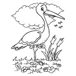 Dibujo para colorear: Aves (Animales) #11920 - Dibujos para Colorear e Imprimir Gratis