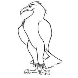 Dibujo para colorear: Aves (Animales) #11930 - Dibujos para Colorear e Imprimir Gratis