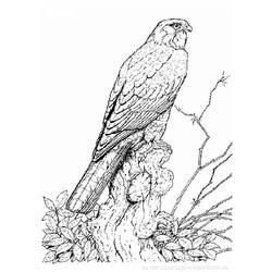 Dibujo para colorear: Aves (Animales) #11935 - Dibujos para Colorear e Imprimir Gratis