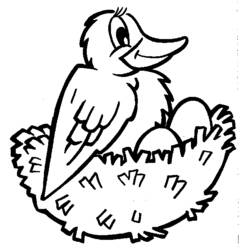 Dibujo para colorear: Aves (Animales) #11958 - Dibujos para Colorear e Imprimir Gratis