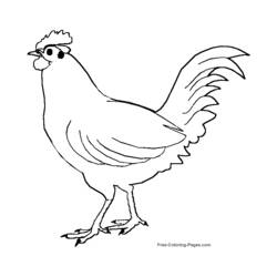 Dibujo para colorear: Aves (Animales) #11959 - Dibujos para Colorear e Imprimir Gratis