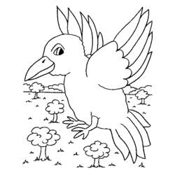 Dibujo para colorear: Aves (Animales) #11967 - Dibujos para Colorear e Imprimir Gratis