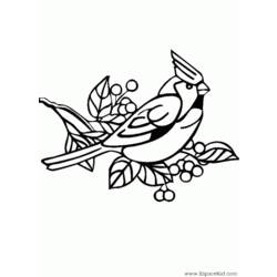 Dibujo para colorear: Aves (Animales) #11969 - Dibujos para Colorear e Imprimir Gratis